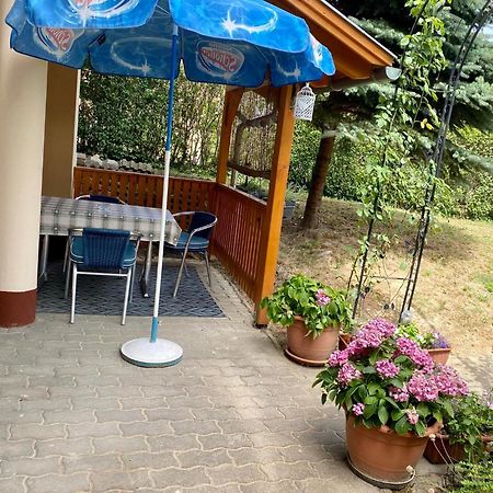 Katalin App. Zalagyöngye Daire Zalakaros Dış mekan fotoğraf